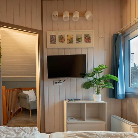 Wildgans 233 ميرو